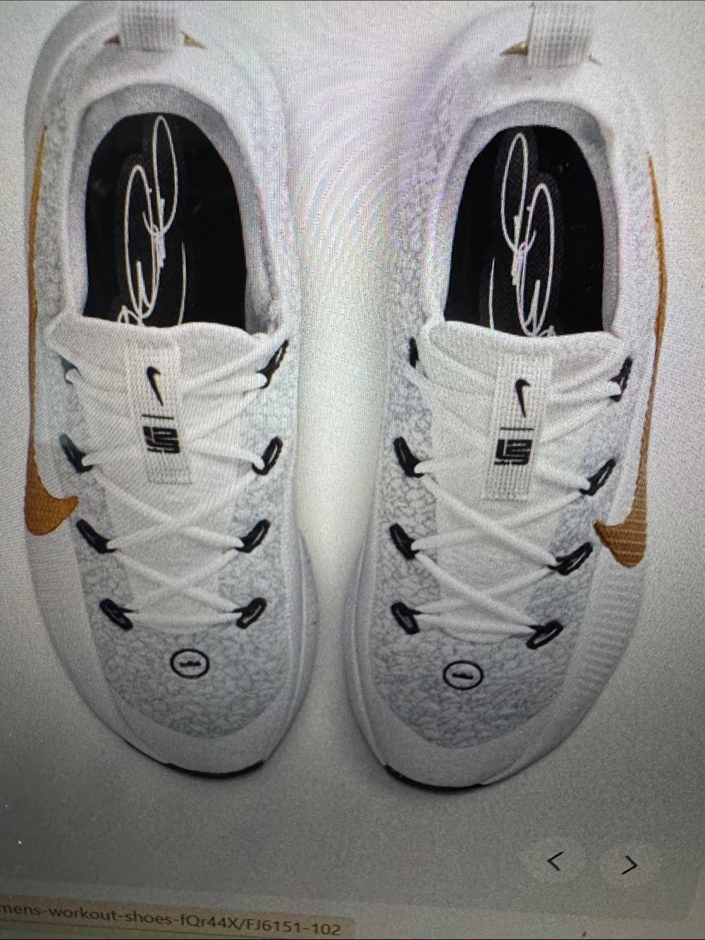 Nike LeBron TR 1 Training Sneakers - Sz 12